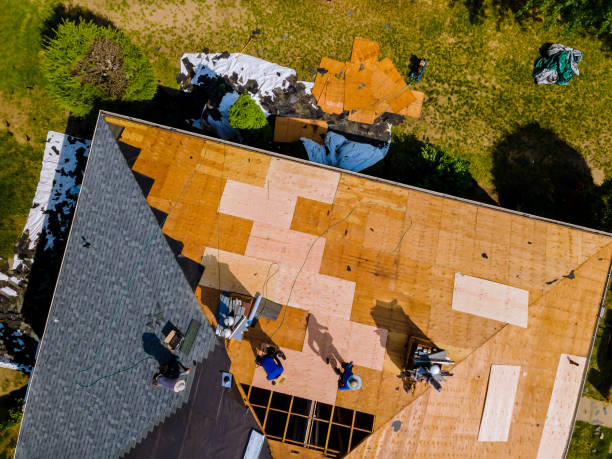 Best Metal Roofing Contractor  in Fort Payne, AL